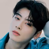 ChaEunwoo