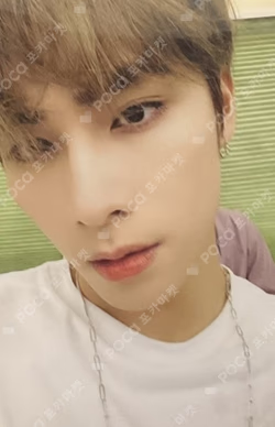 Photo + Luggage Sticker Set - Unit