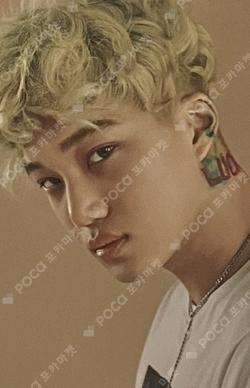 10th Anniversary Repackage Photo Card Set C