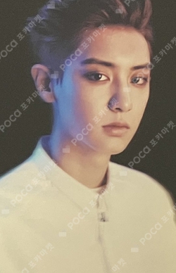 EXO 10th Anniversary トレカ チャニョル Pocamarket, EXO CHANYEOL 10th Anniversary Repackage Photo Card Set