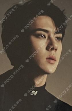10th Anniversary Repackage Photo Card Set C SEHUN photocard image