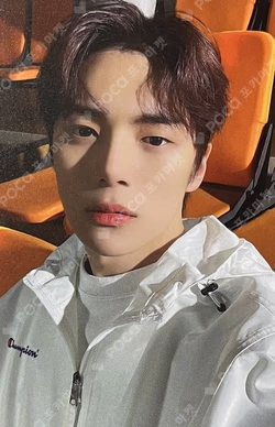 Champion Spring Promotion