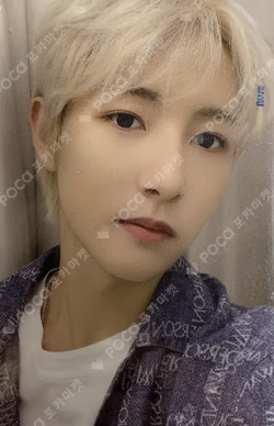 2022 Season Greetings Photo Pack