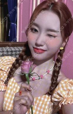 Summer Special [Flip That] EVERLINE LUCKY DRAW Go Won photocard image