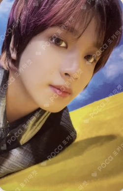 Beatbox 4X6 PHOTO SET