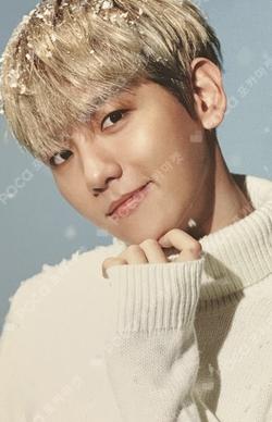 10th Anniversary Repackage Photo Card Set B