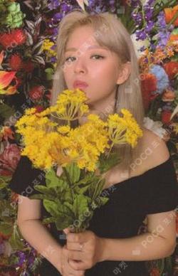 Eyes wide open JEONGYEON photocard image