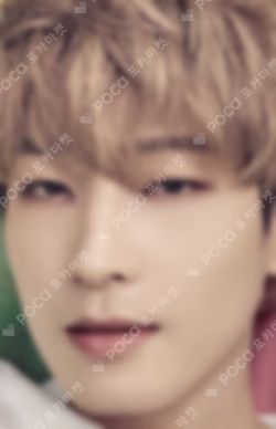 Dicon Photocard 101:Custom Book /My Choice Is... Seventeen Since 2021(In Seoul)