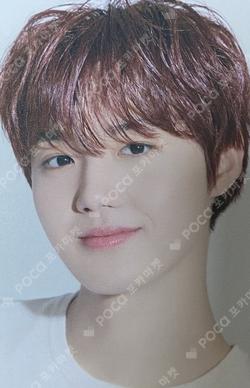 ma:nyo  DOYOUNG photocard image