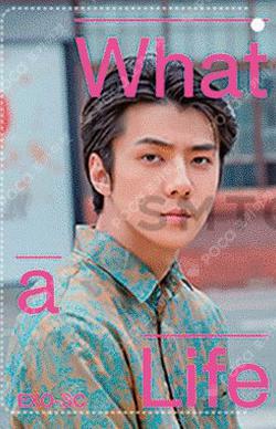Exo-Sc What A Life Card Wallet