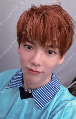 VERI-ABLE OFFICIAL Ver.