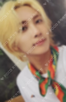 Dicon Photocard 101:Custom Book /My Choice Is... Seventeen Since 2021(In Seoul)