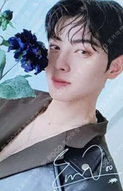 BLUE FLAME concept zone Photocard Set