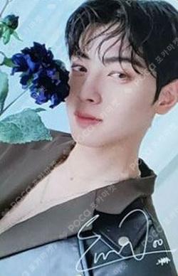 BLUE FLAME concept zone Photocard Set ChaEunwoo photocard image