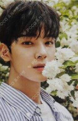 Summer Vibes ChaEunwoo photocard image