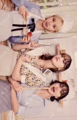 HAPPY TWICE & ONCE DAY! 트레이딩 카드