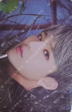 HELLO UNDISCLOSED PHOTO CARD SET