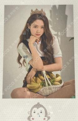 Banana Allergy Monkey Polaroid