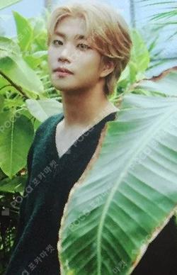 All Light GREEN ver. MJ photocard image