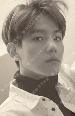 10th Anniversary Repackage Photo Card Set B