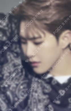 Dicon Photocard 101:Custom Book /My Choice Is... Seventeen Since 2021(In Seoul)