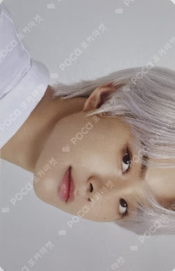 2022 Season Greetings Photo Pack