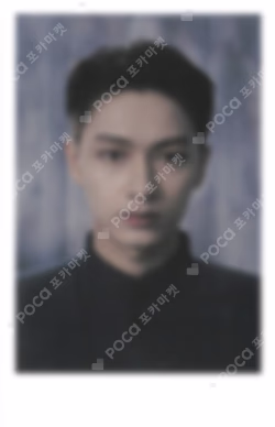 Face the Sun Instant Photo Card Set (ver.1)