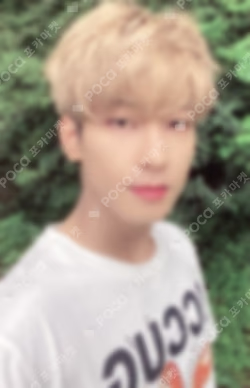 Dicon Photocard 101:Custom Book /My Choice Is... Seventeen Since 2021(In Seoul)