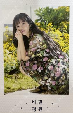 Secret Garden Polaroid