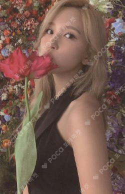 bb93119f1f9e465eb7217cd25981cb