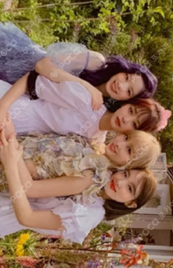 MORE&MORE Unit photocard image