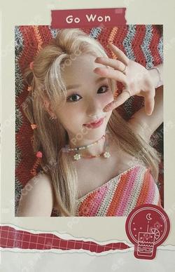LOONA's vacation 2022 SUMMER PACKAGE POLAROID SET