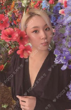 Eyes wide open CHAEYOUNG photocard image