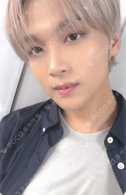 Ncit Random Photo Pack Day Ver.