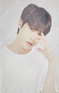 NCT DOYOUNG photocard image