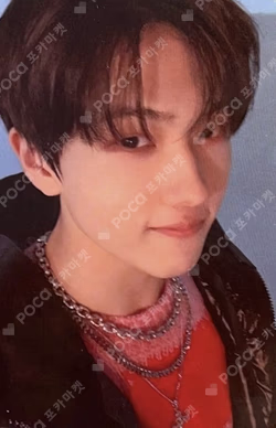 Photo + Luggage Sticker Set - Dreaming