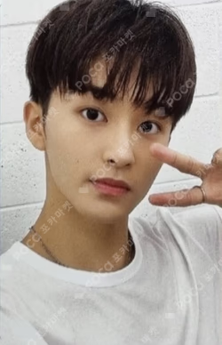 2022 Season Greetings Photo Pack