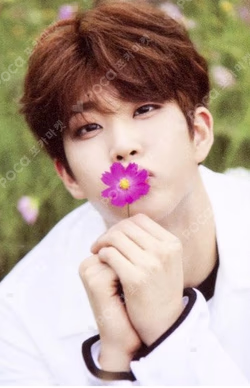 Dream Part.02 BARAM Wind ver. MJ photocard image