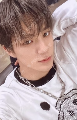 Photo + Luggage Sticker Set - Dreaming