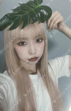 track by YOON: PATBINGSU PHOTOCARD+TIN CASE SET B ver.