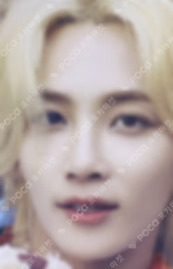Dicon Photocard 101:Custom Book /My Choice Is... Seventeen Since 2021(In Seoul)