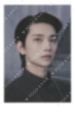 Face the Sun Instant Photo Card Set (ver.1)