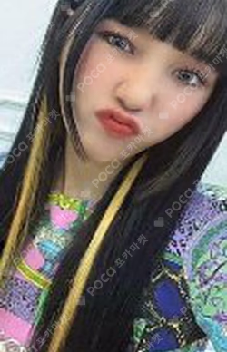 Dear Ohmygirl Dun Dun Bear Ver.