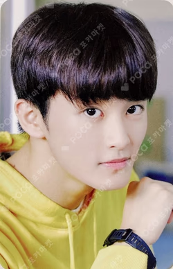 Ncit Postcard+Photo Frame Set