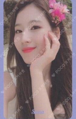 Summer Nights SANA photocard image