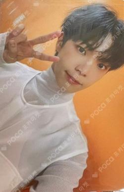 SERIES 'O' ROUND 2 : HOLE SYNNARA RECORD