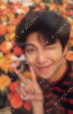 2018 Love Yourself Tour Japan Passport Photo Card