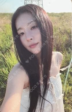 28 Reasons Case Ver.