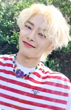 MAXIDENT Blue Dream Media