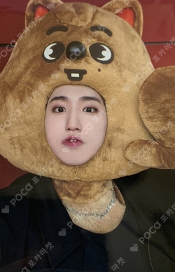 Pocamarket, Stray Kids HAN MAXIDENT JYP SHOP K-pop Photocard